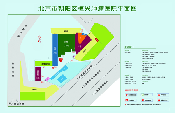 美女被艹下面视频北京市朝阳区桓兴肿瘤医院平面图